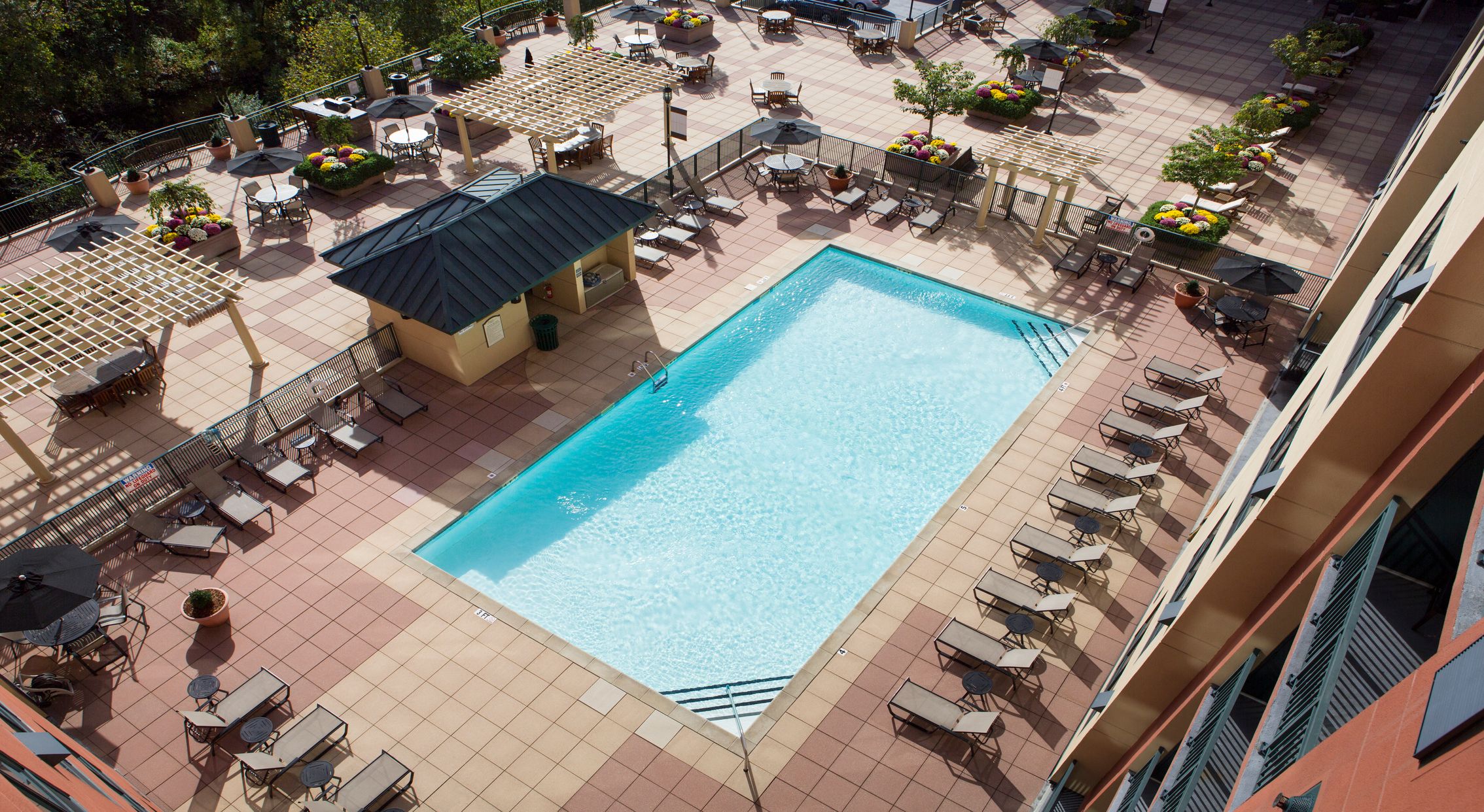 Areial view of pool and sitting area